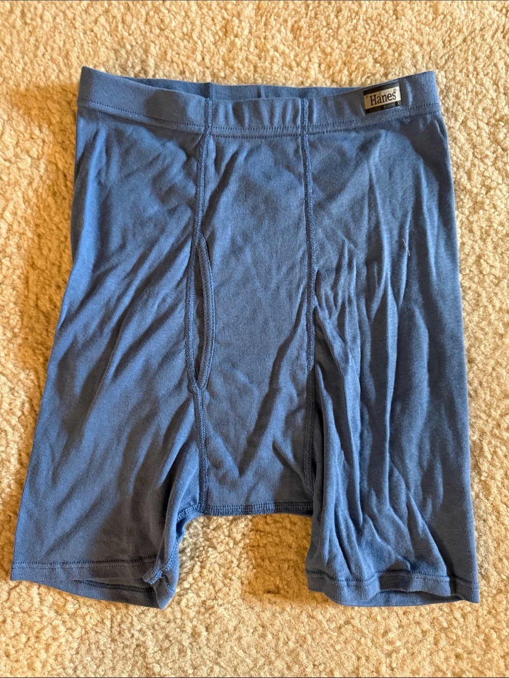 Hanes Men's Slate Blue Boxer Briefs